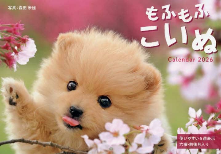 ӂӂCalendar2026 XcėY XcėY