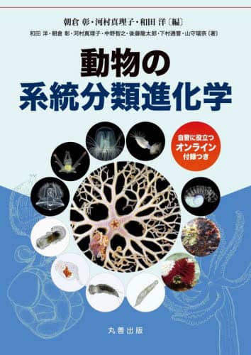 ̌nސiw q/ ͑^q/ acm/ acm/kقl
