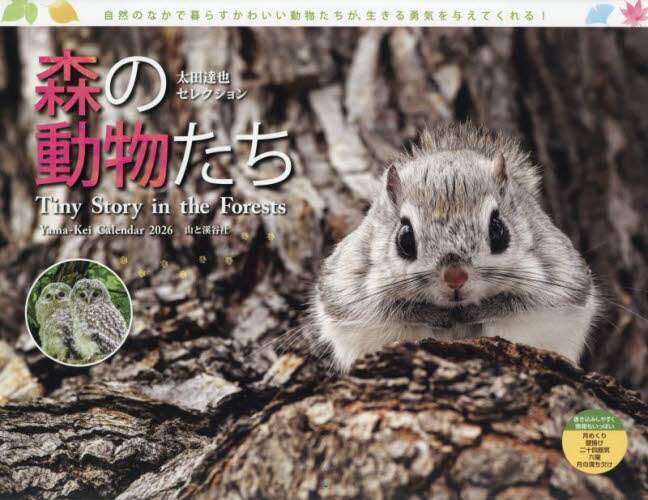 カレンダー ’26 森の動物たちTiny 太田達也 太田達也 山と溪谷社