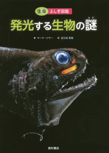 発光する生物の謎