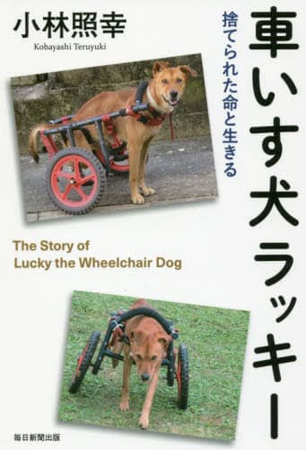 車いす犬ラッキー　捨てられた命と生きる