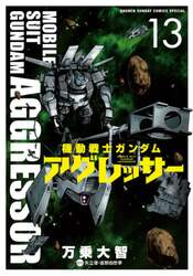 機動戦士ガンダムアグレッサー　１３