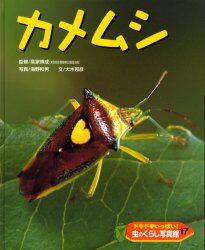 ドキドキいっぱい！虫のくらし写真館　１７