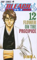 ＢＬＥＡＣＨ　１２