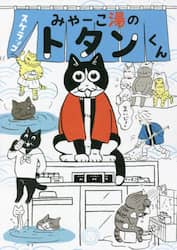みゃーこ湯のトタンくん
