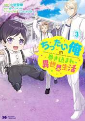ちったい俺の巻き込まれ異世界生活　３