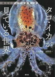 タコ・イカが見ている世界