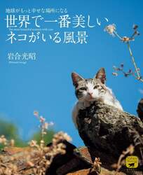世界で一番美しいネコがいる風景　地球がもっと幸せな場所になる