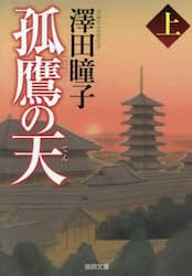 孤鷹の天　上