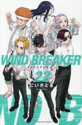 ＷＩＮＤ　ＢＲＥＡＫＥＲ　２２