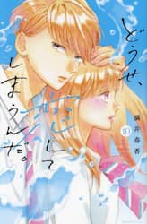 どうせ、恋してしまうんだ。　１０
