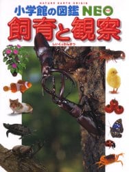 飼育と観察