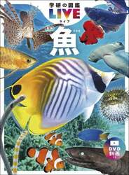 魚