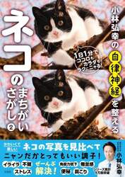 小林弘幸の自律神経を整えるネコのまちがいさがし　２