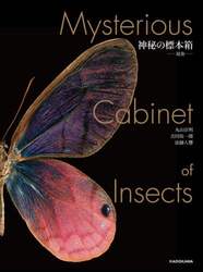 神秘の標本箱－昆虫－