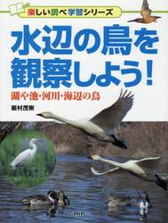水辺の鳥を観察しよう！　湖や池・河川・海辺の鳥