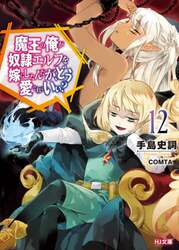 魔王の俺が奴隷エルフを嫁にしたんだが、どう愛でればいい？　１２