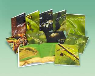 よみきかせいきものしゃしんえほん　１０巻セット