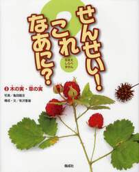 せんせい！これなあに？　なまえしらべずかん　３