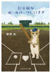 伝言猫がボールパークにいます