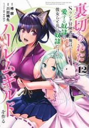 裏切られたＳランク冒険者の俺は、愛する奴隷の彼女らと共に奴隷だけのハーレムギルドを作る　１２