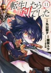 転生したら剣でした　１１