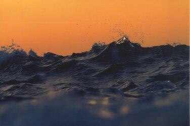 ＮＡＭＩ　梶井照陰写真集