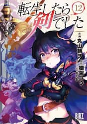 転生したら剣でした　１２