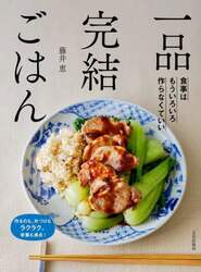 一品完結ごはん　食事はもういろいろ作らなくていい　作るのも、片づけもラクラク。栄養も満点！