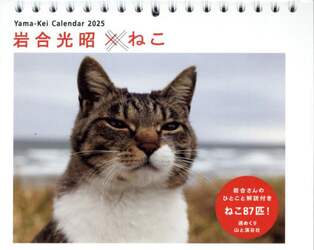 カレンダー　’２５　岩合光昭×ねこ