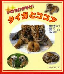 いのちかがやけ！タイガとココア　障がいをもって生まれたアムールトラのきょうだい
