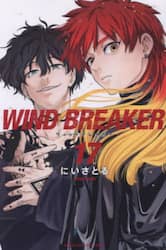 ＷＩＮＤ　ＢＲＥＡＫＥＲ　１７