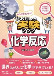 おうちでカンタン！おもしろ実験ブック化学反応