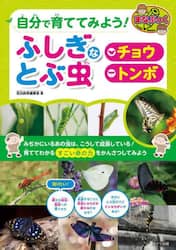 自分で育ててみよう！ふしぎなとぶ虫チョウトンボ