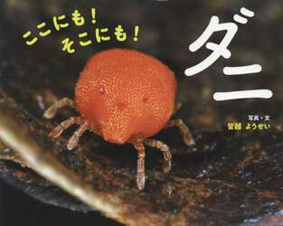 ここにも！そこにも！ダニ