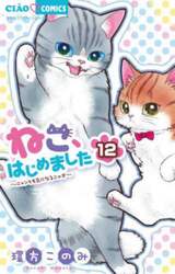 ねこ、はじめました　１２