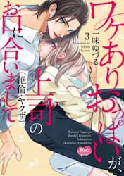 ワケありおっぱいが、上司（絶倫・ヤク　３