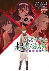 とある科学の超電磁砲　とある魔術の禁書目録外伝　１７
