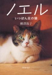 ノエル　いっぽん足の猫
