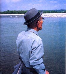 Ｙｏｕｎｇ　ｔｒｅｅ　若木信吾写真集