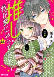 推しが我が家にやってきた！　１２