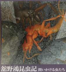舘野鴻昆虫記　問いかける虫たち　４巻セット