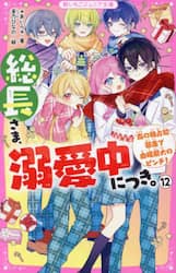 総長さま、溺愛中につき。　１２