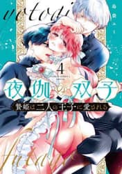 夜伽の双子　贄姫は二人の王子に愛される　４