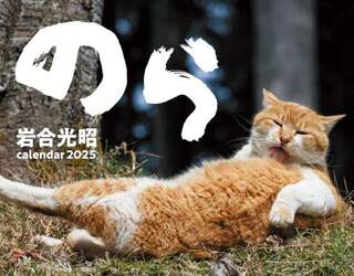 ’２５　猫カレンダー　のら