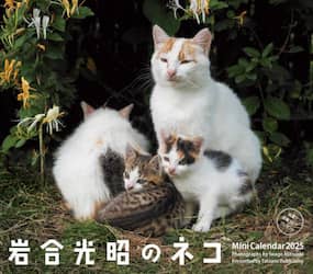 ’２５　ミニカレンダー岩合光昭のネコ