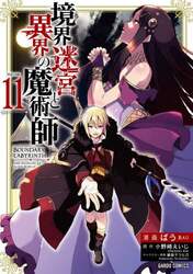 境界迷宮と異界の魔術師　Ａｄｖｅｎｔｕｒｅ　ｏｆ　ａ　ｍａｇｉｃｉａｎ　ｗｉｔｈ　ｍｅｍｏｒｙ　ｏｆ　Ｂｒｅａｋ　ｆｏｒｃｅ　ｏｎｌｉｎｅ　１１