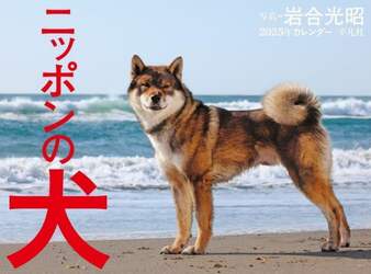 ’２５　カレンダー　ニッポンの犬