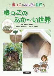 根っこのふしぎな世界　〔４〕