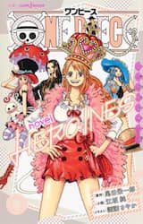 ＯＮＥ　ＰＩＥＣＥ　ｎｏｖｅｌ　ＨＥＲＯＩＮＥＳ